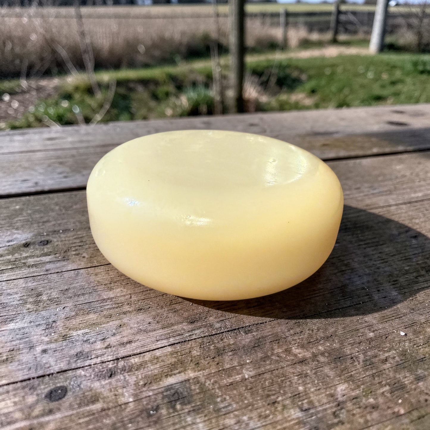 Tallow Body Bar (2.5 Ounces)