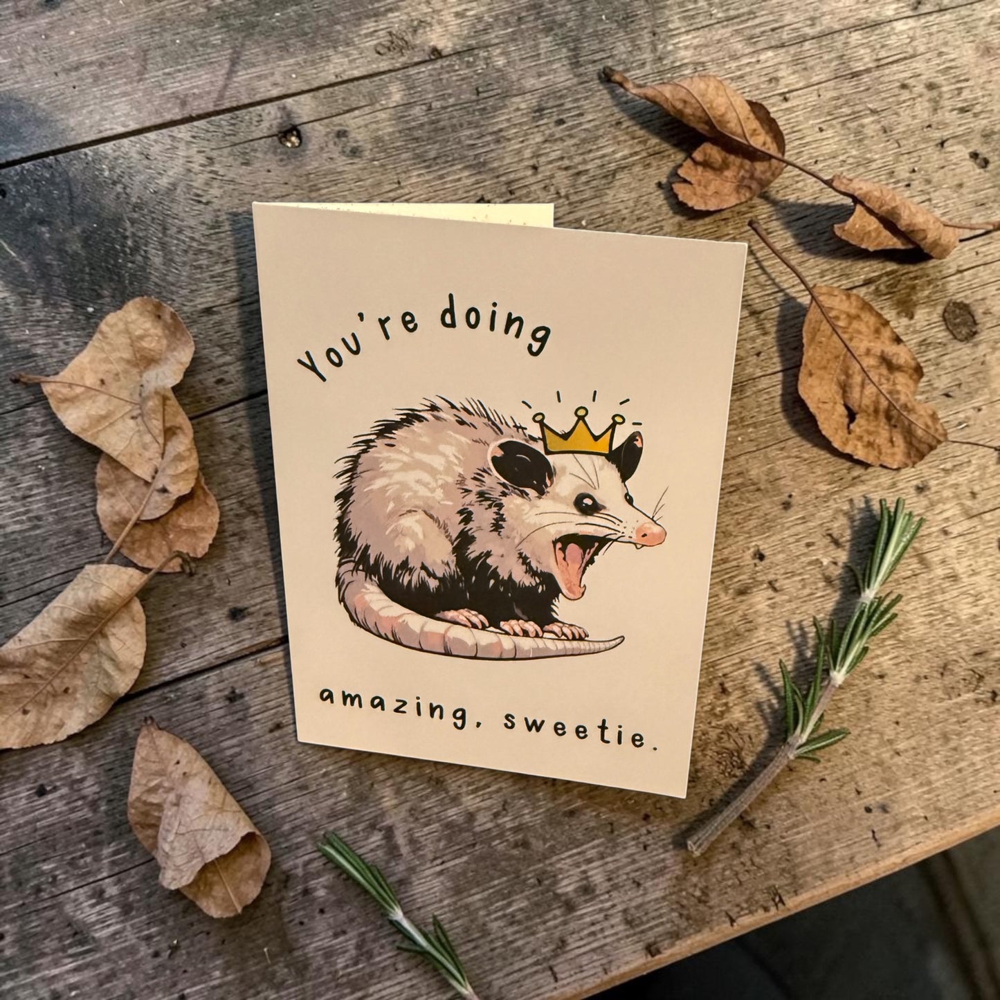 Amazing Opossum